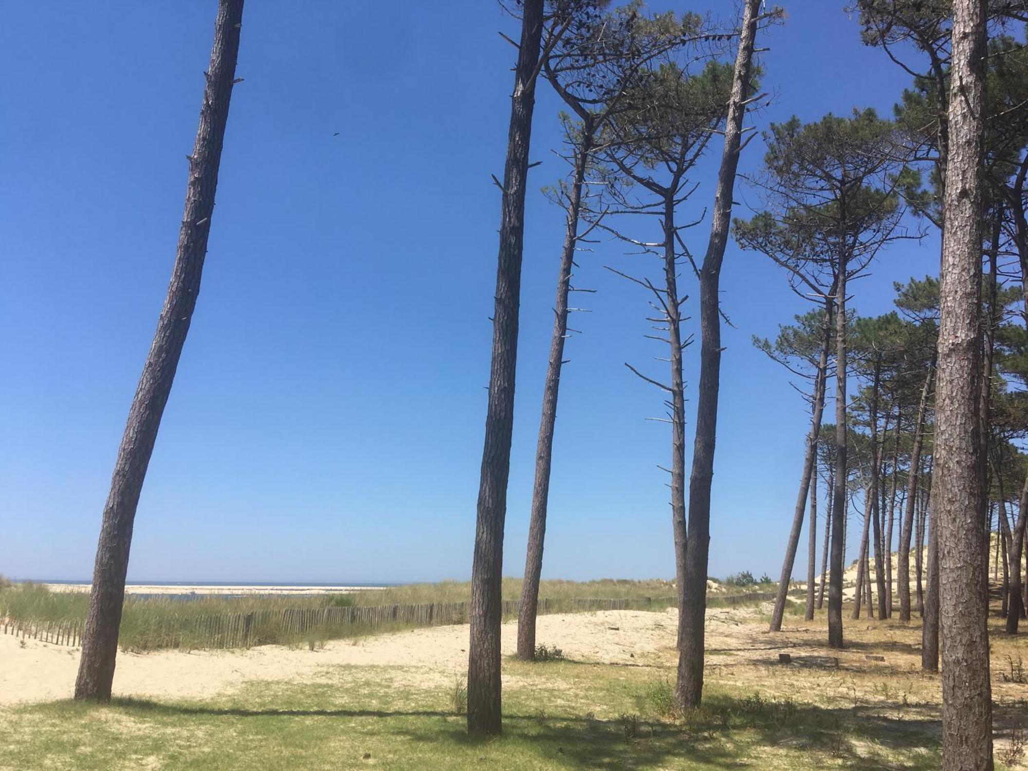 Appartement Spacieux Arcachon Esterno foto