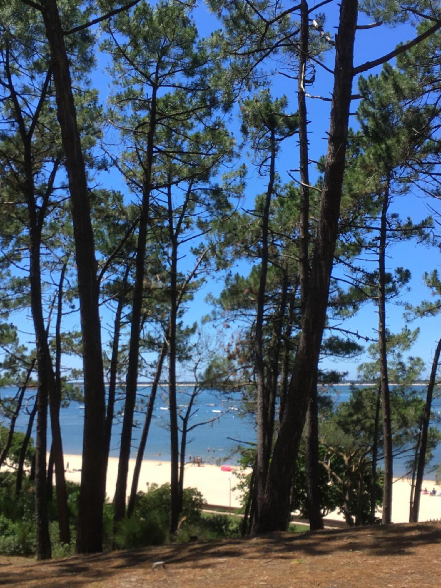 Appartement Spacieux Arcachon Esterno foto